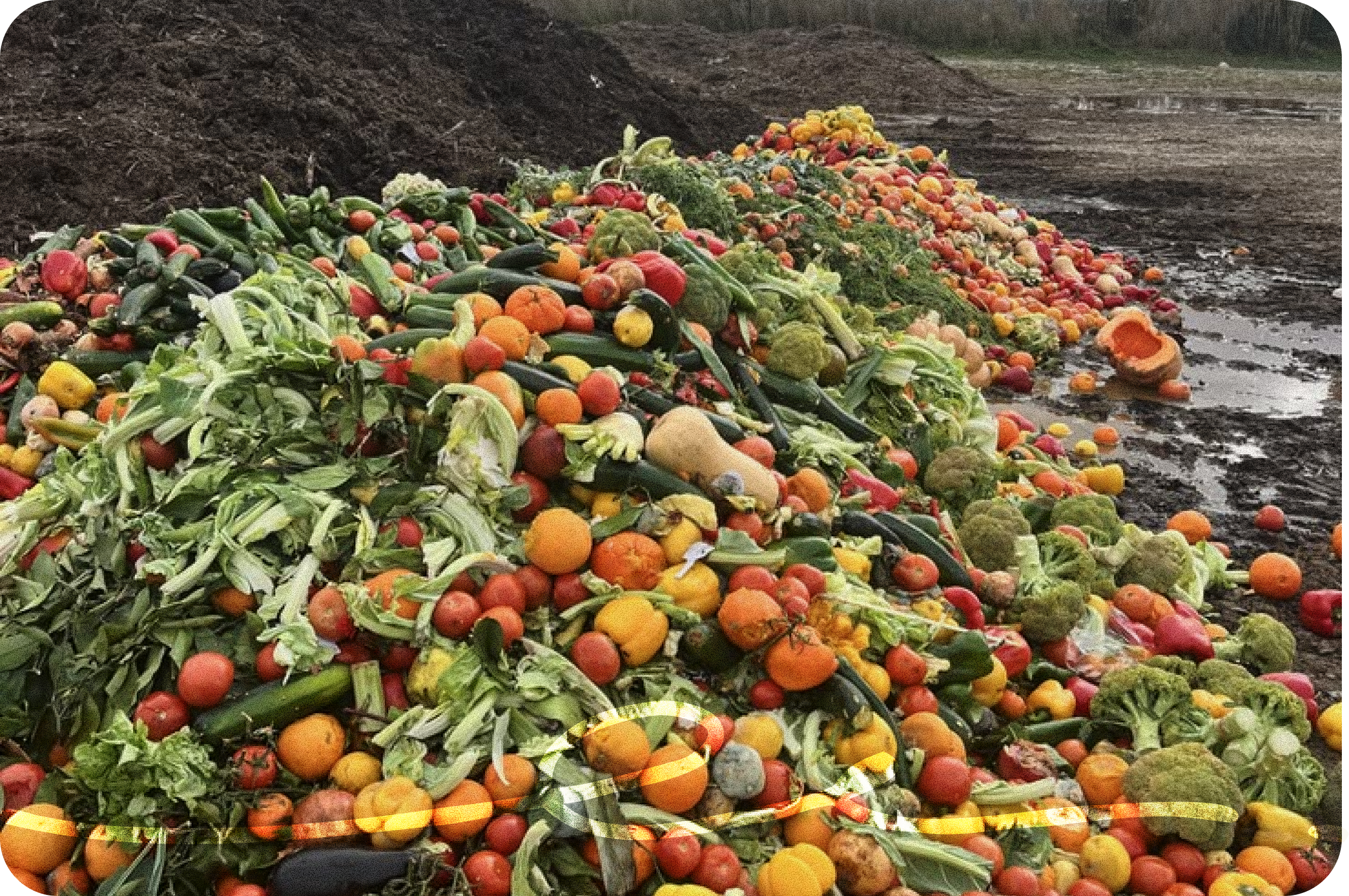 The Hidden Crisis in Nigerian Agriculture: Post-Harvest Loss