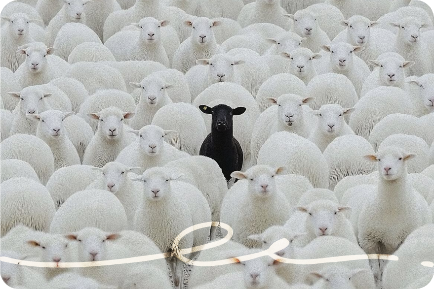 Belonging, but at What Cost?