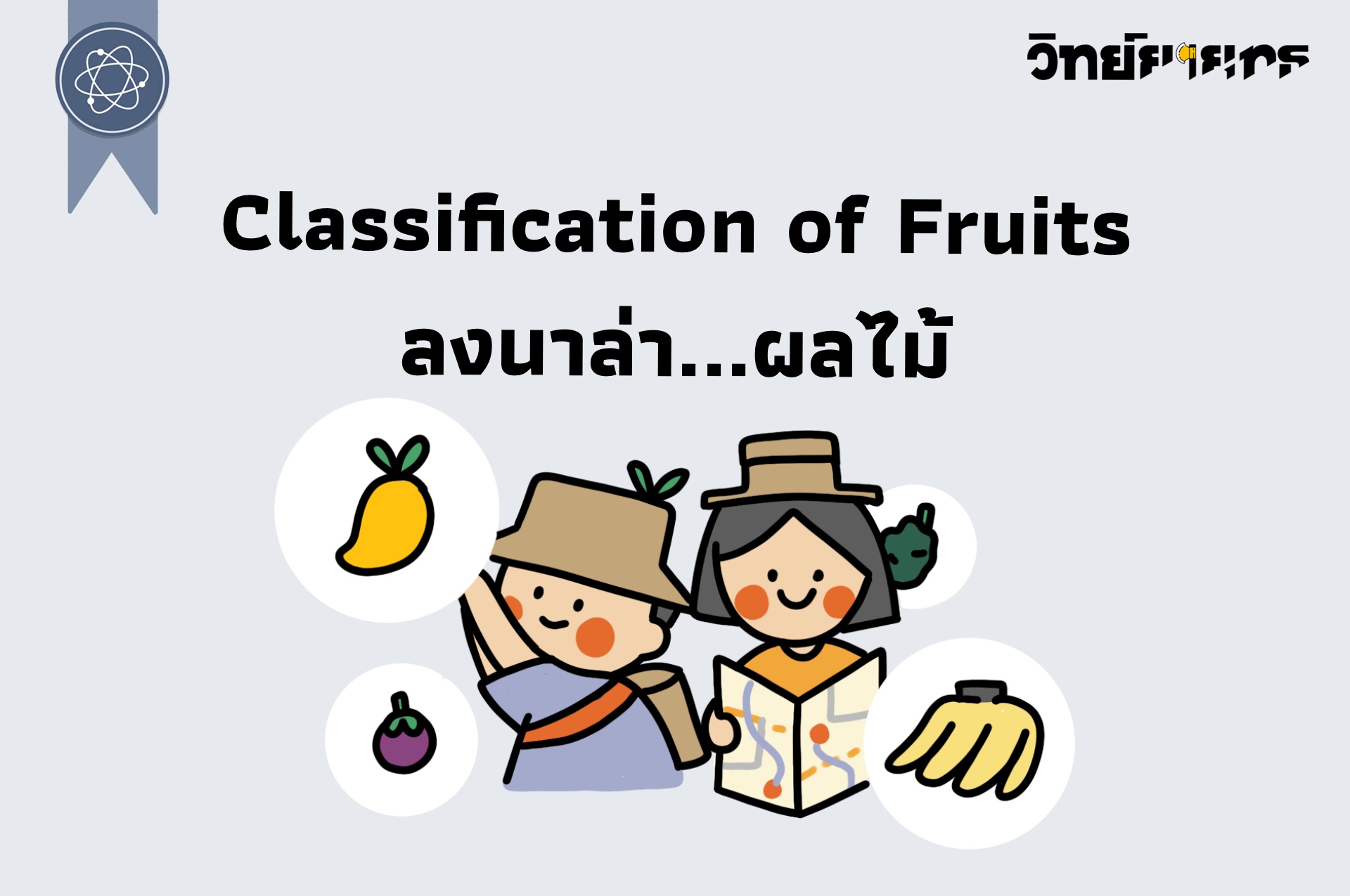 ภาพประกอบไอเดีย Classification of Fruits ลงนาล่า...ผลไม้