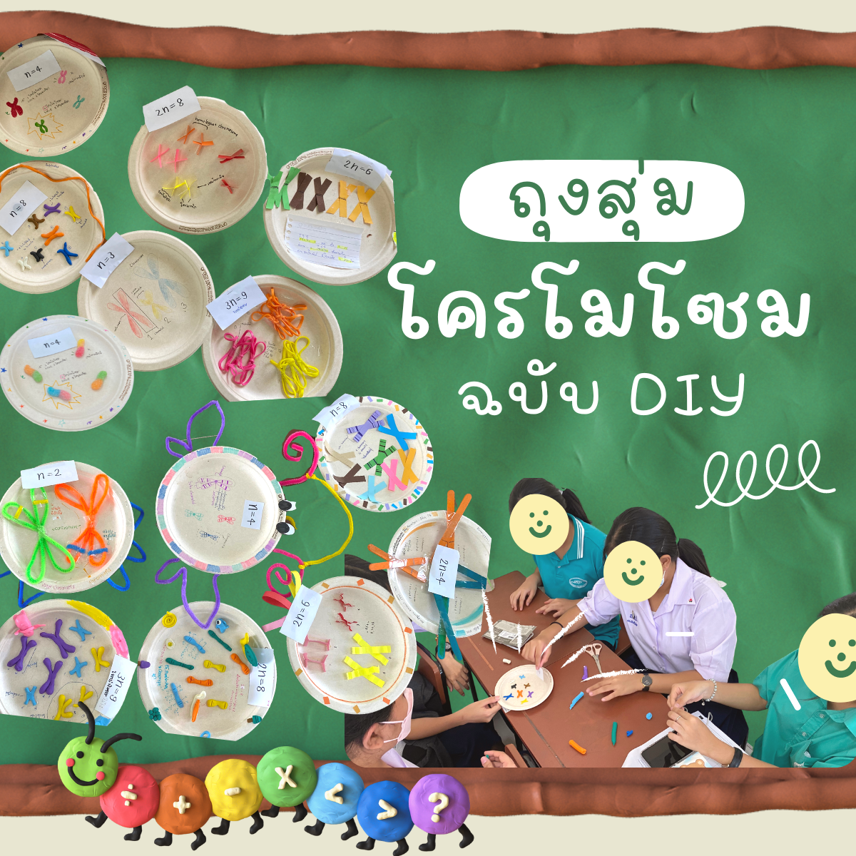 ภาพประกอบไอเดีย ถุงสุ่มโครโมโซม ฉบับ DIY 