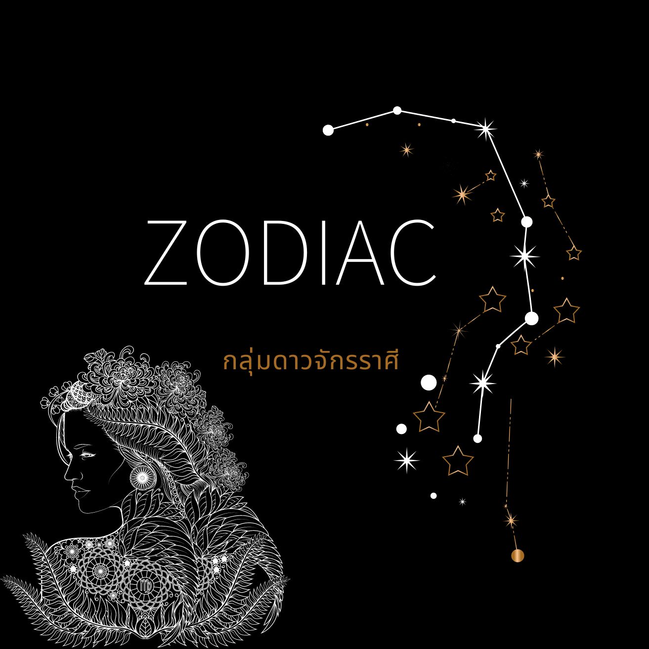 ภาพประกอบไอเดีย Zodiac กลุ่มดาวจักรราศี