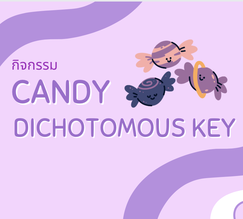 ภาพประกอบไอเดีย Candy Dichotomous Key 🍬 