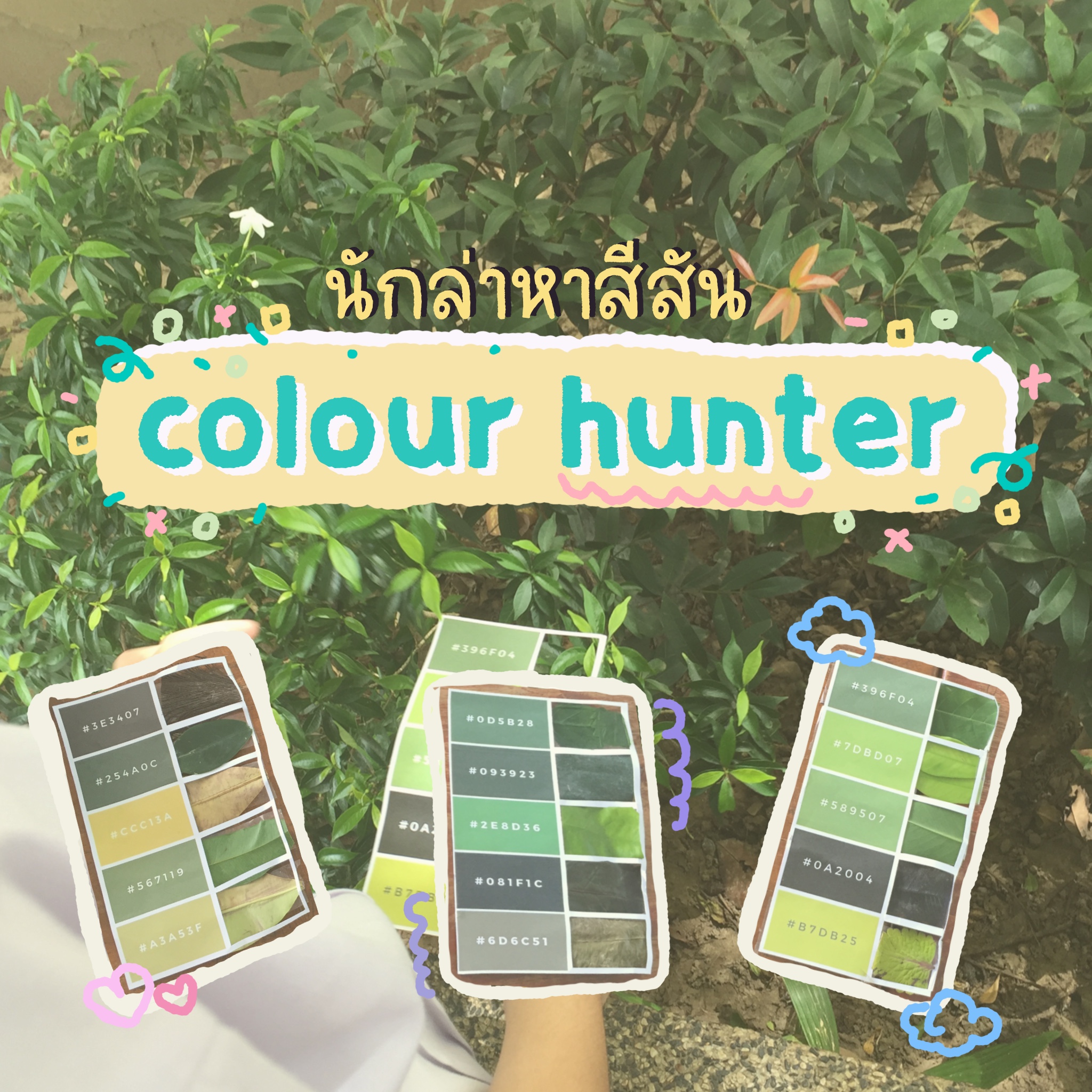 ภาพประกอบไอเดีย นักล่าแห่งสีสัน (colour hunter)