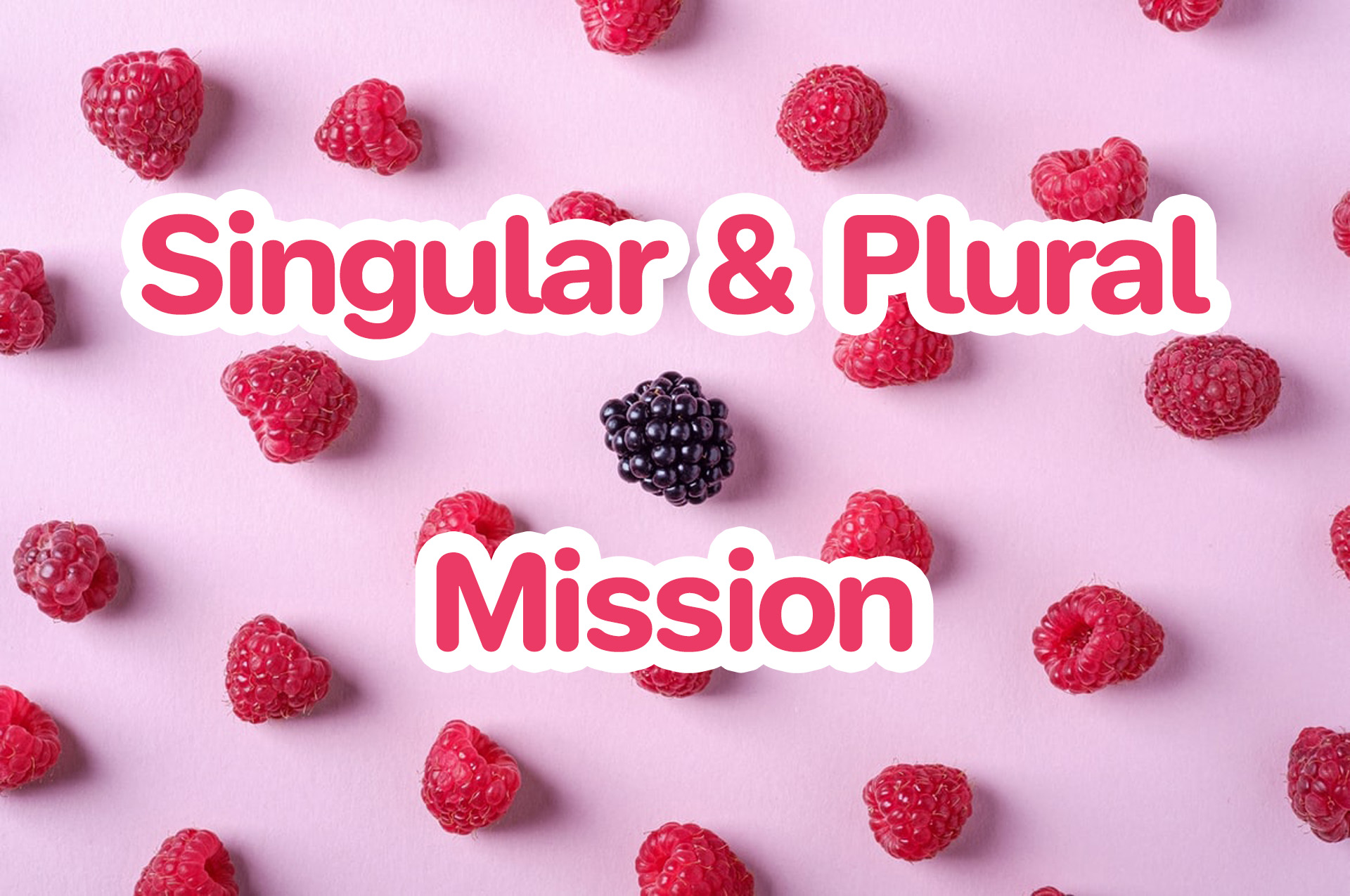 singular-plural-mission-inskru