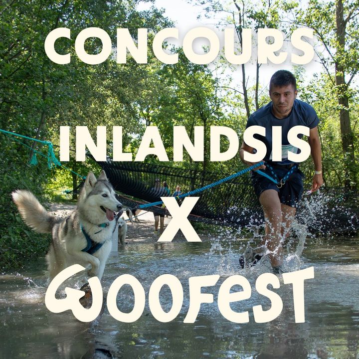 Instagram contest