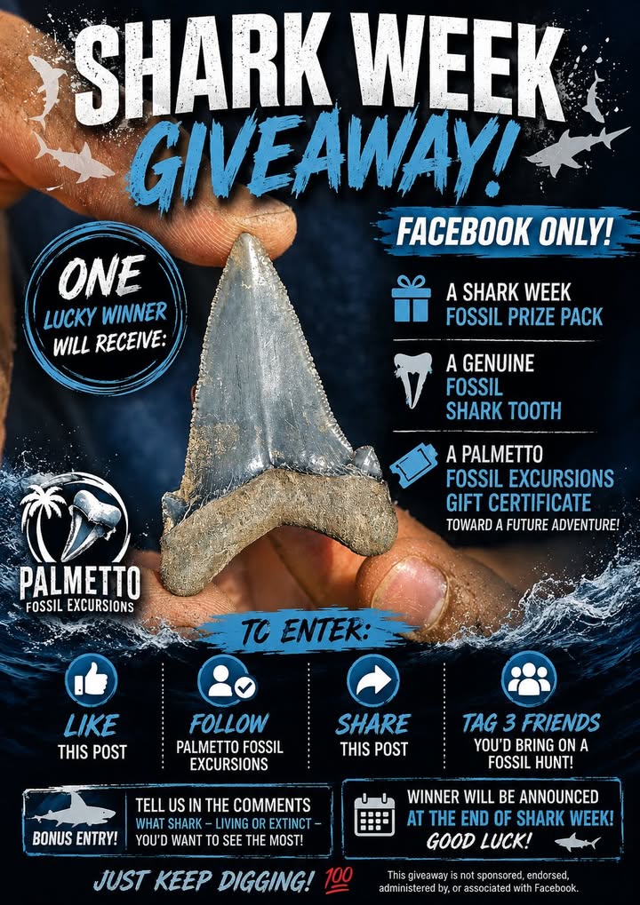 Facebook contest