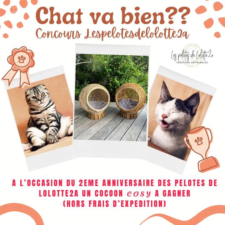 Facebook contest