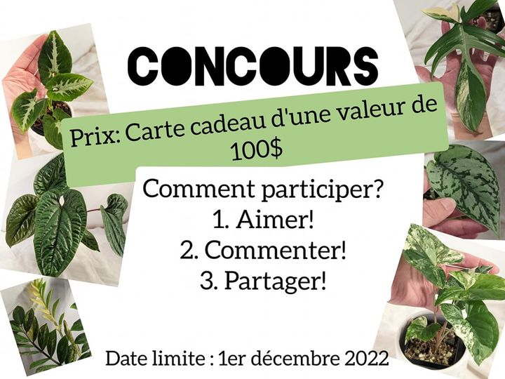 facebook contest