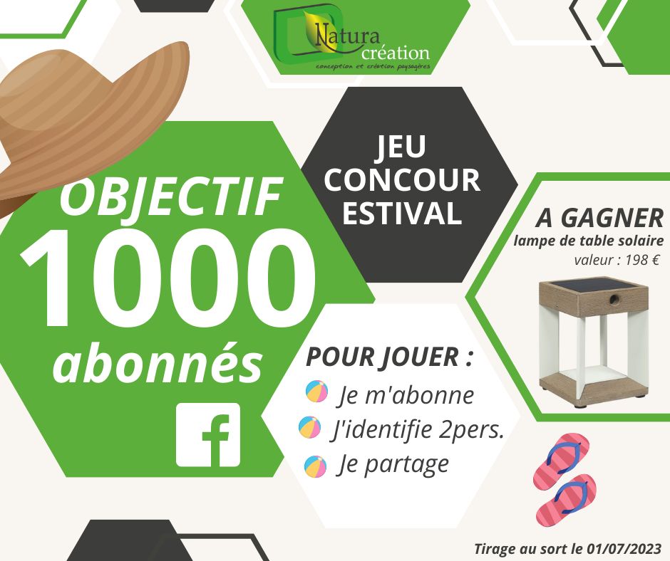 Facebook contest