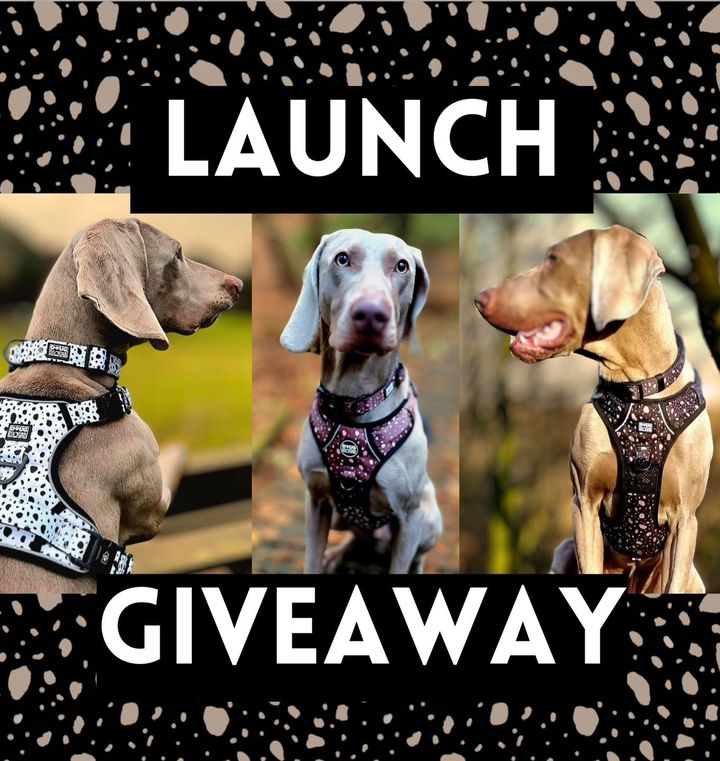 Facebook contest