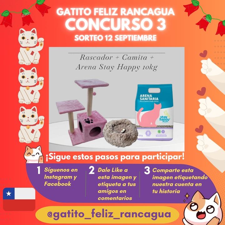 Instagram contest