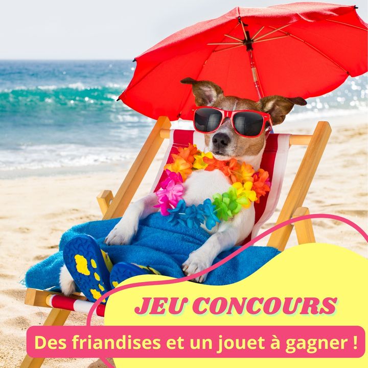 Facebook contest