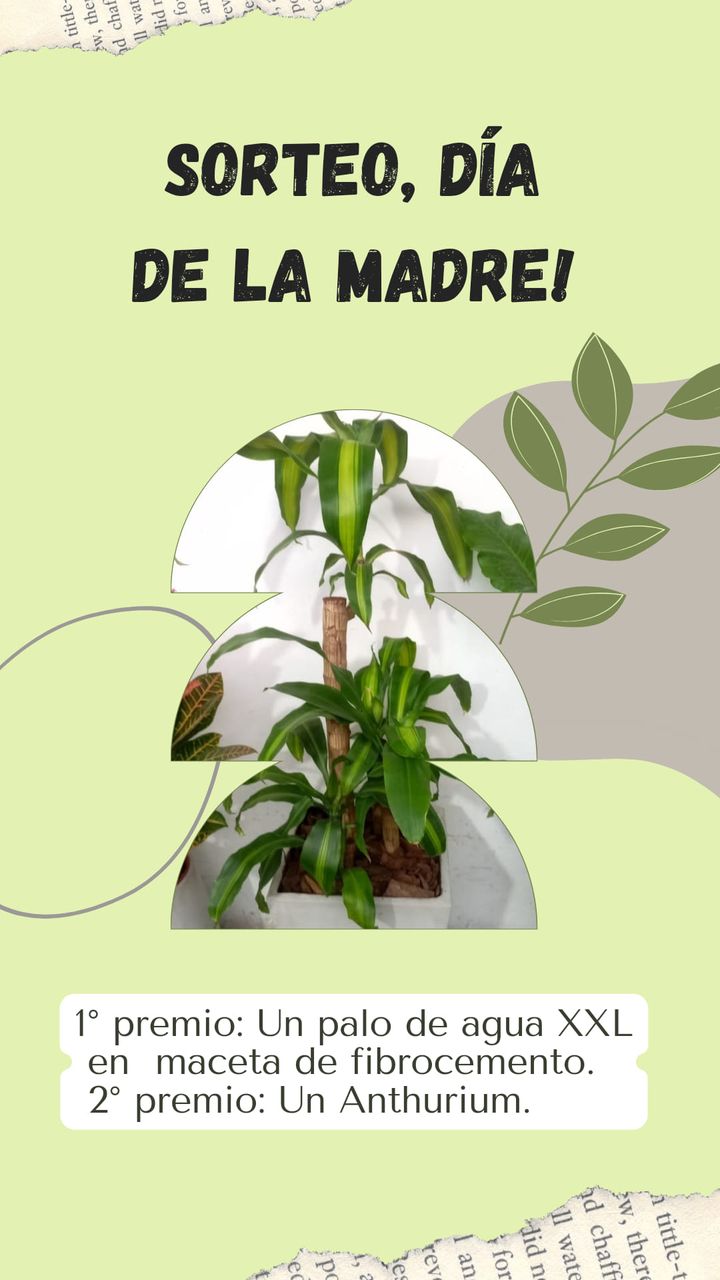 Facebook contest