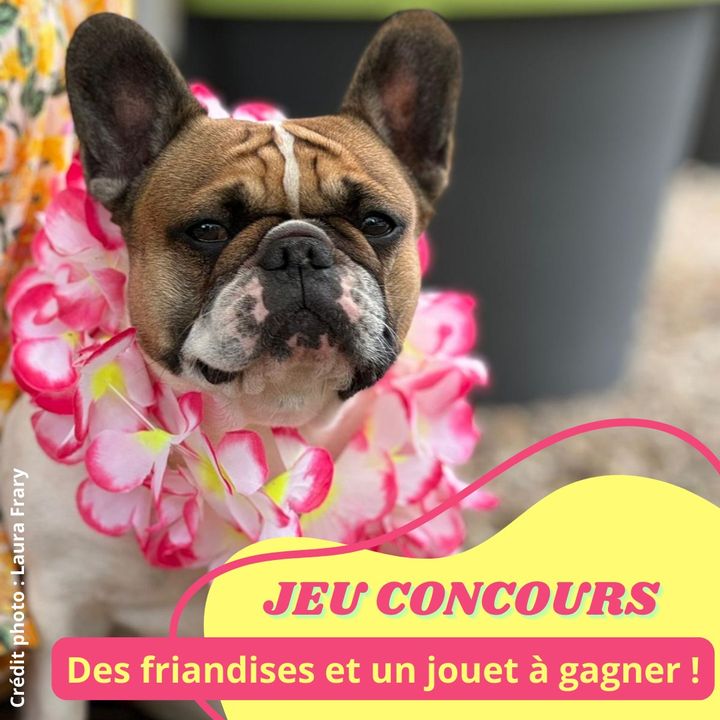 Facebook contest