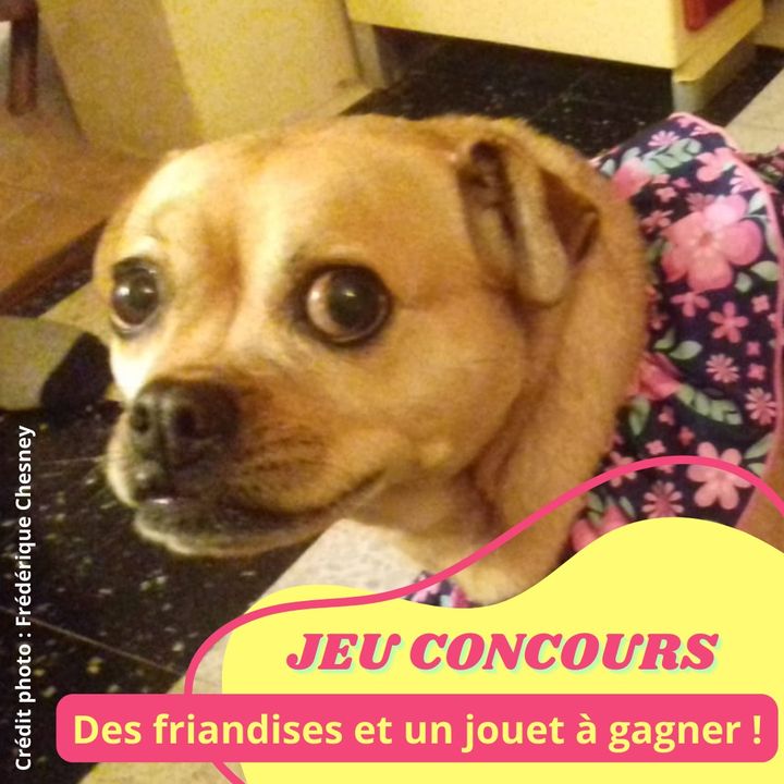 Facebook contest