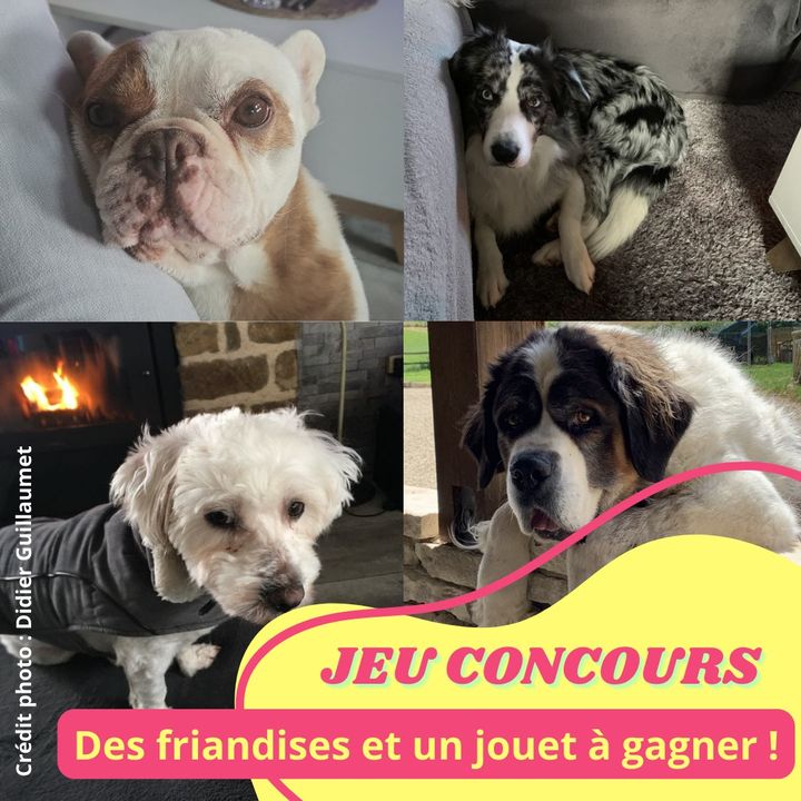 Facebook contest