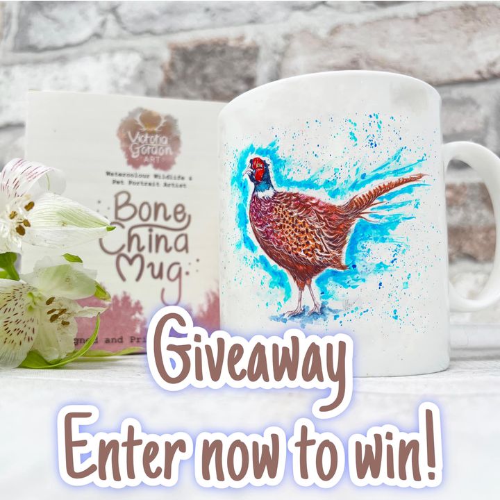 Facebook contest