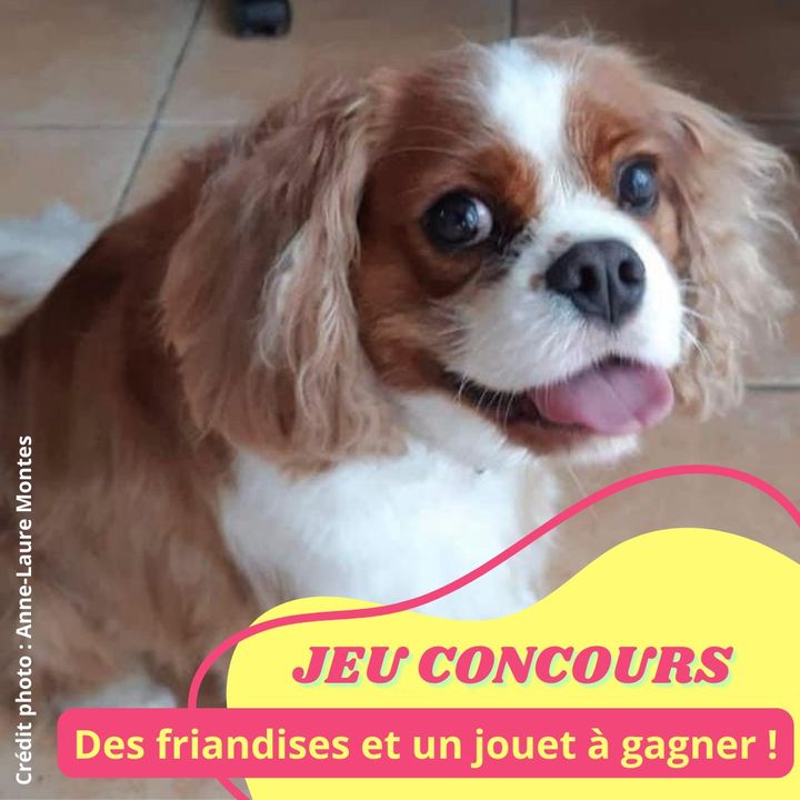 Facebook contest