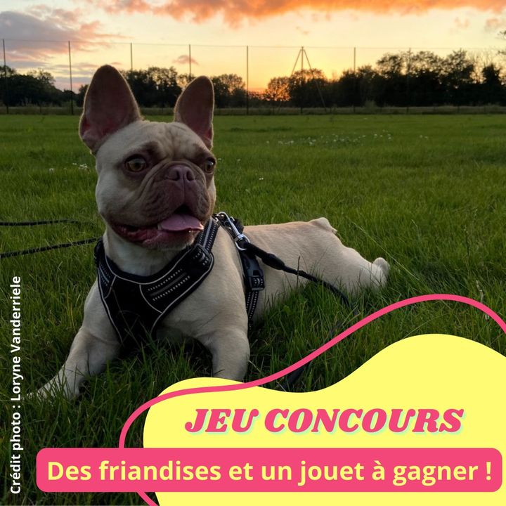 Facebook contest
