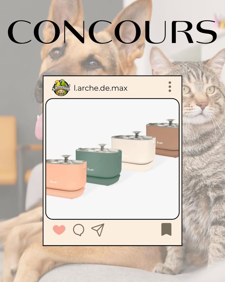 Facebook contest