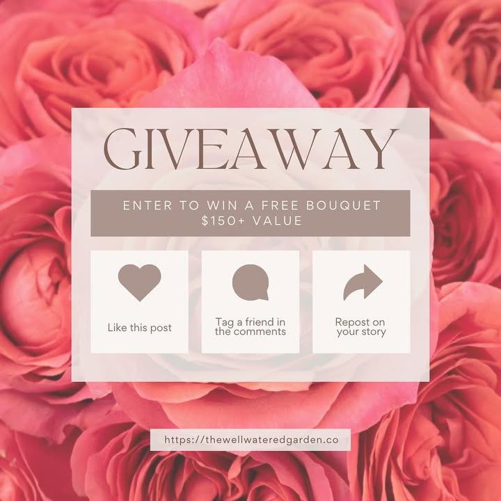 Instagram contest