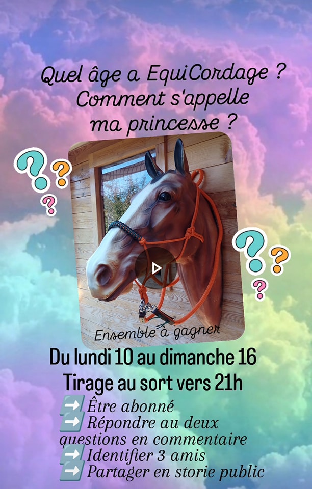 Instagram contest