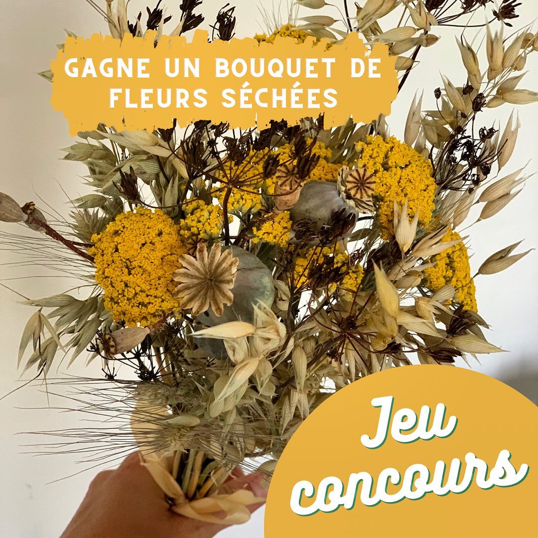 Instagram contest