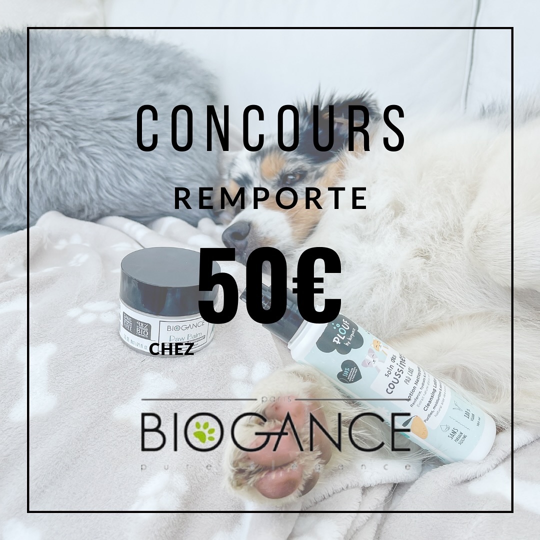 Instagram contest