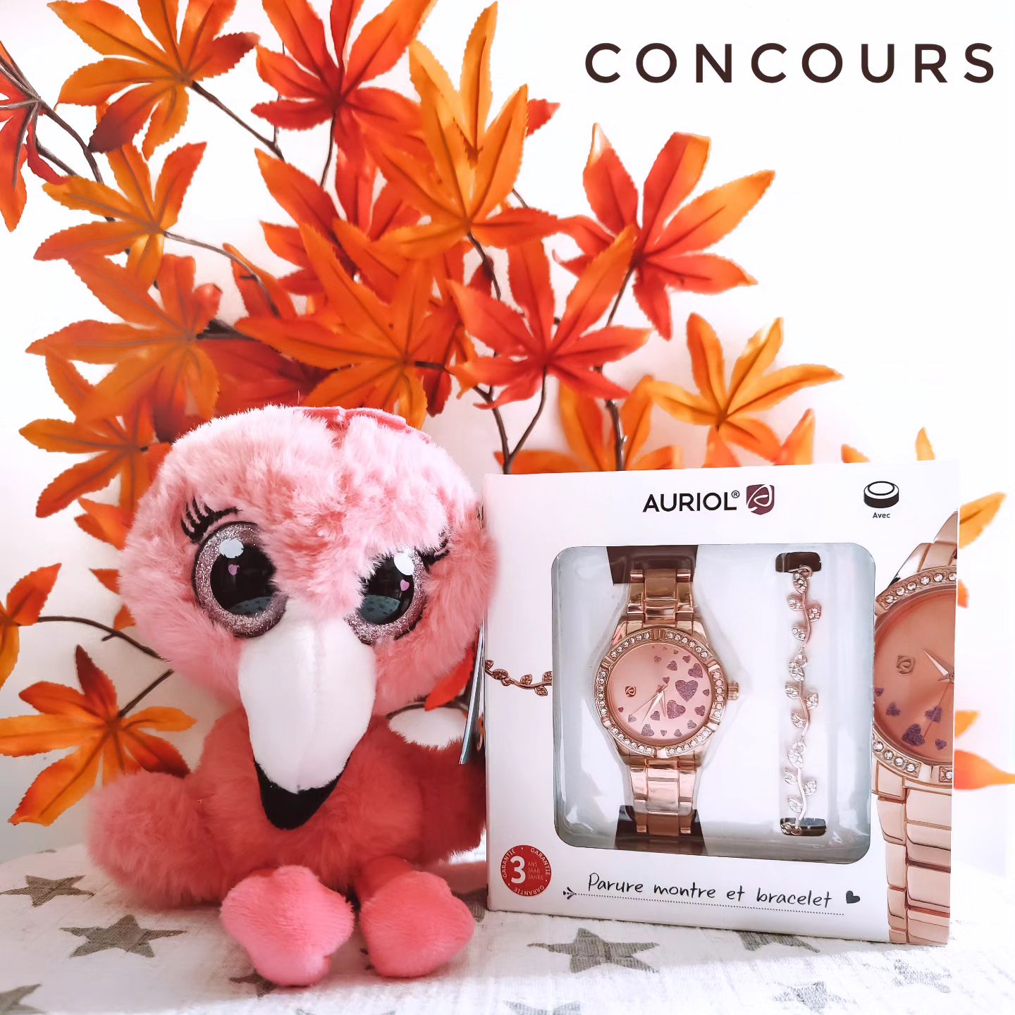 Instagram contest