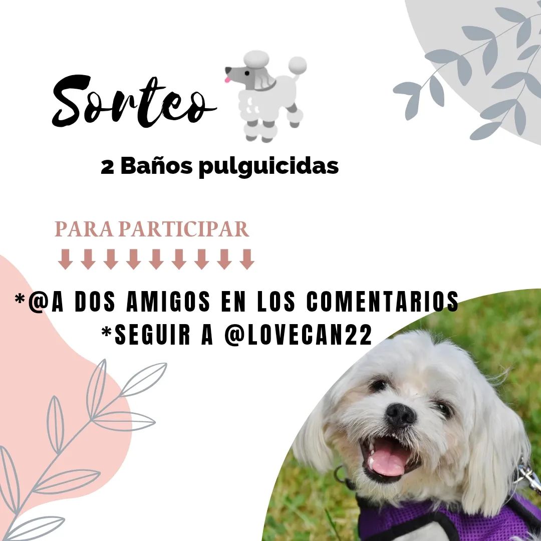 Instagram contest