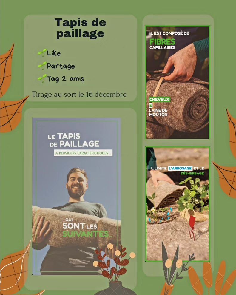 Instagram contest