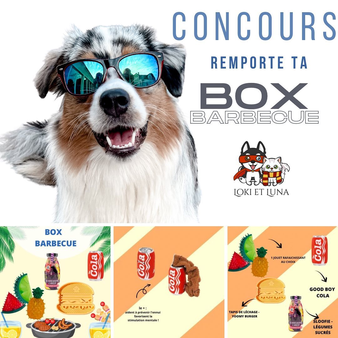 Instagram contest