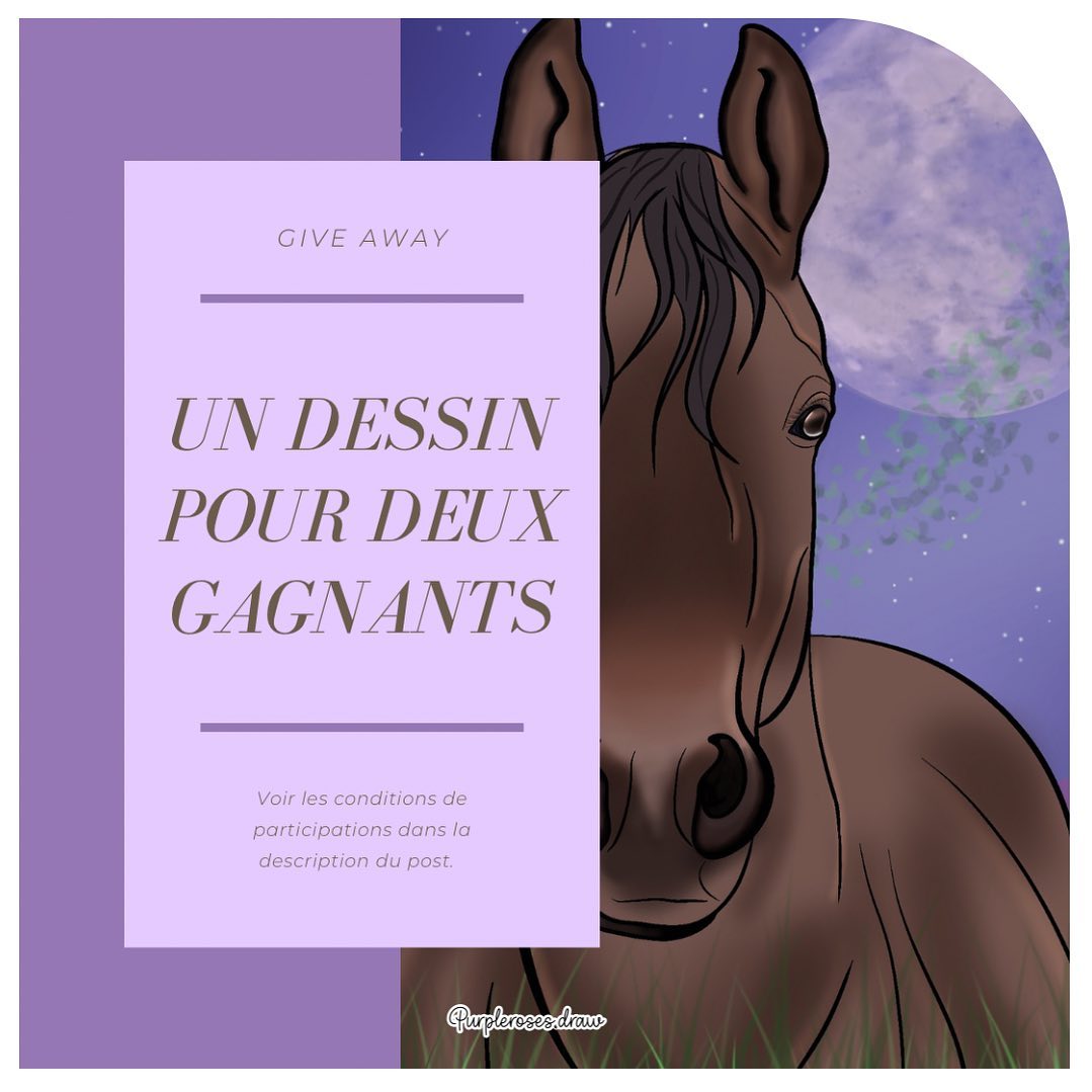 Instagram contest