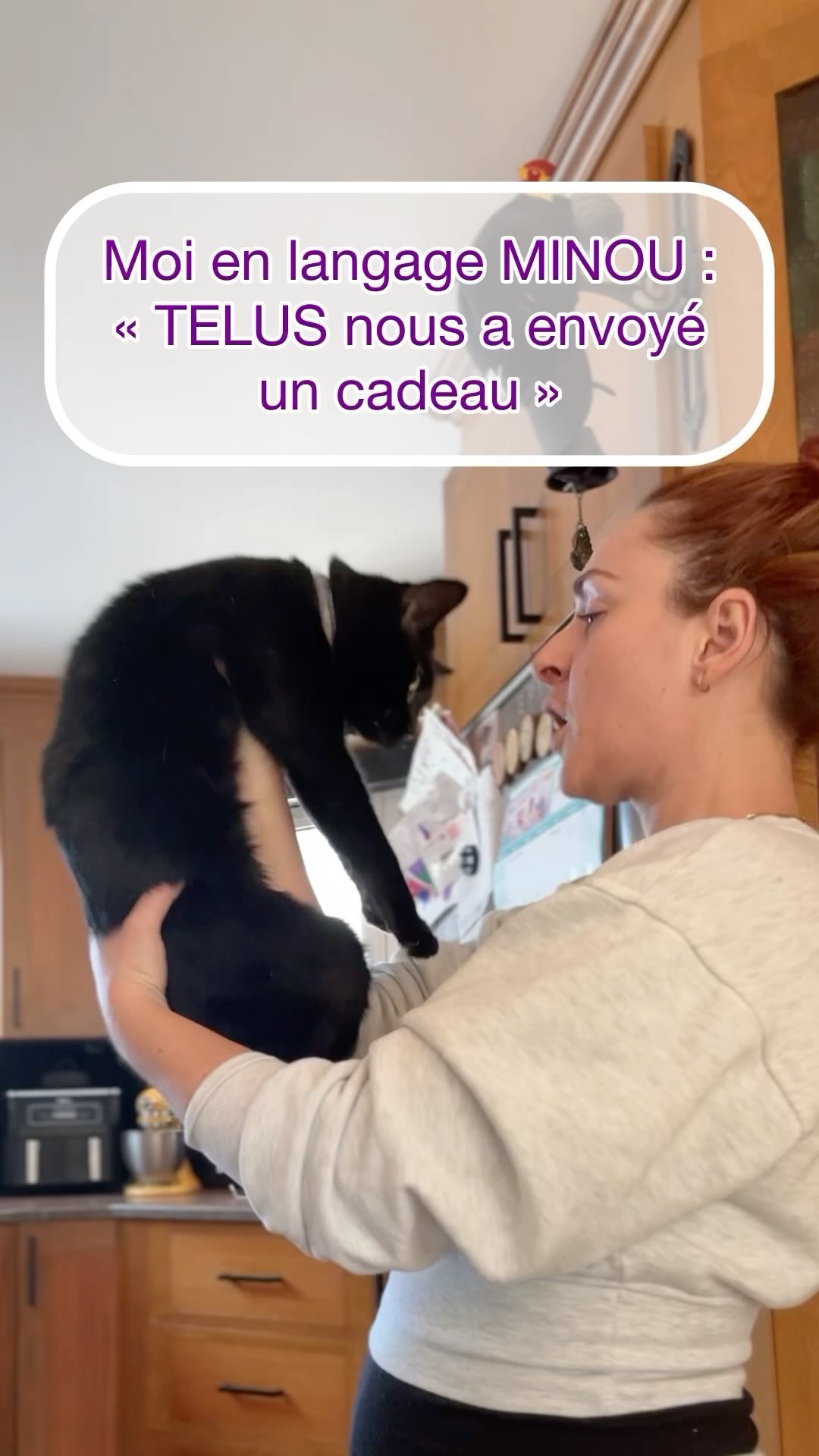 Instagram contest