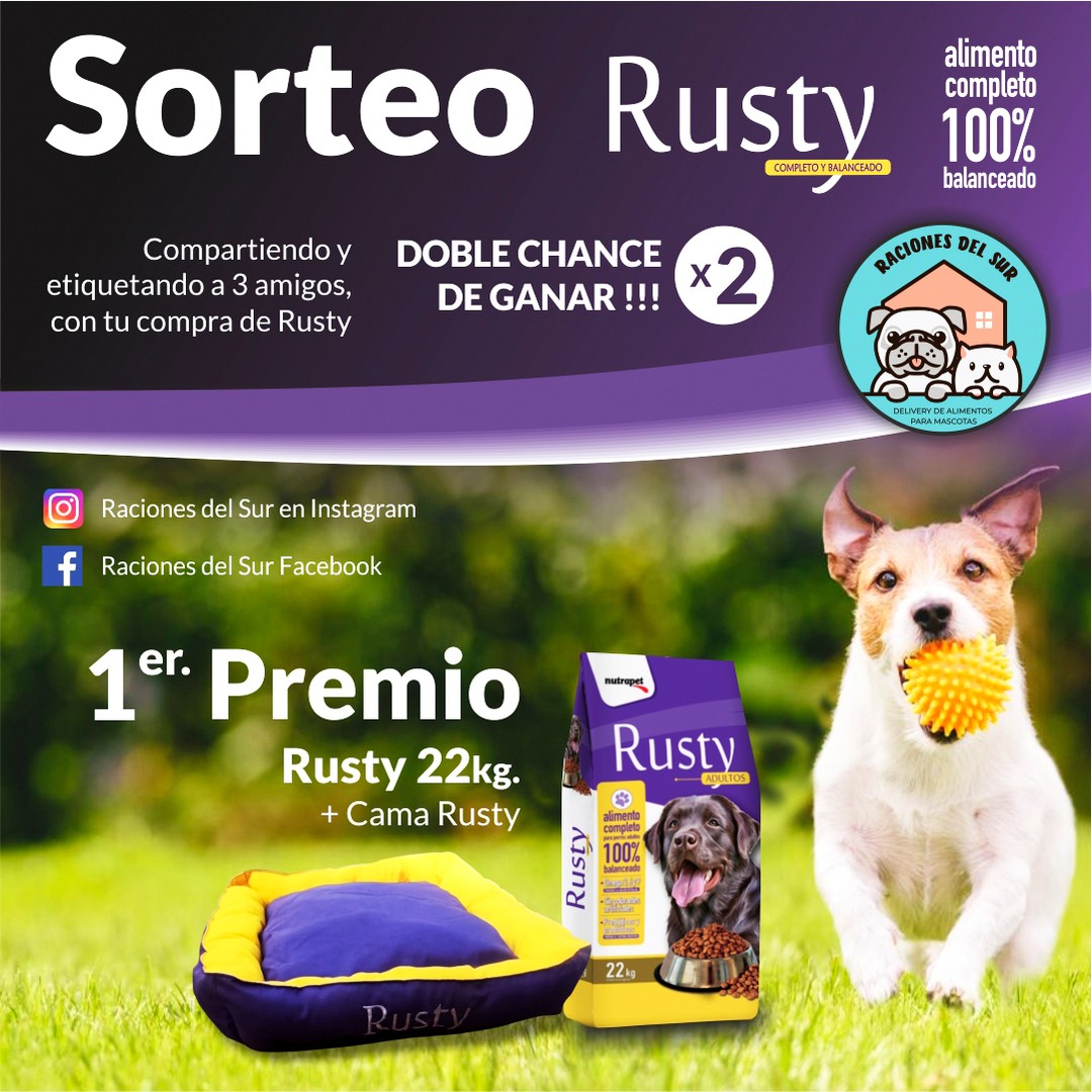 Instagram contest