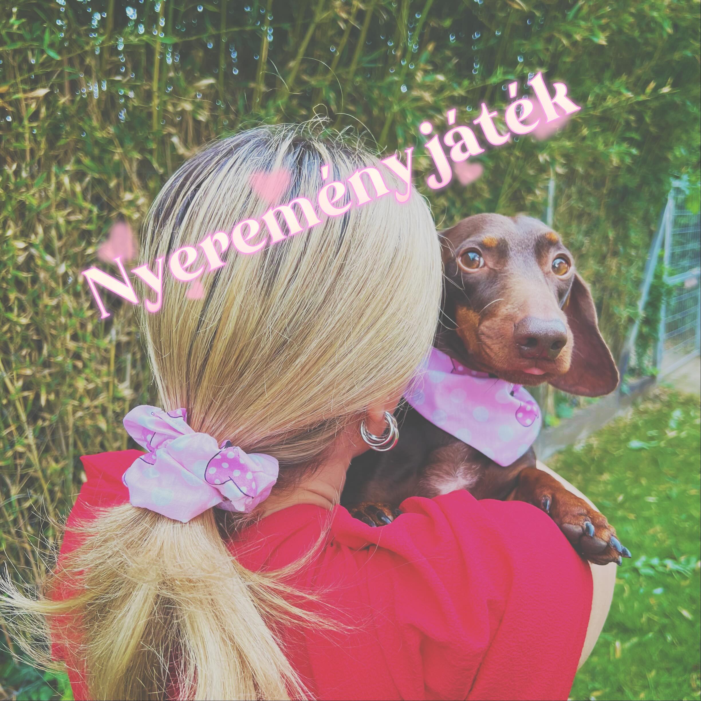 Instagram contest