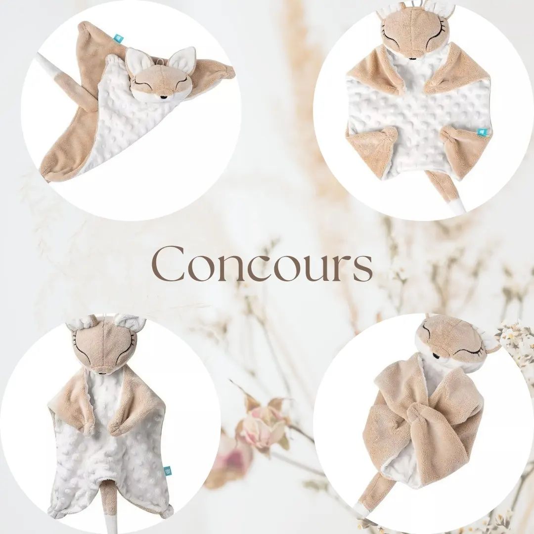 instagram contest