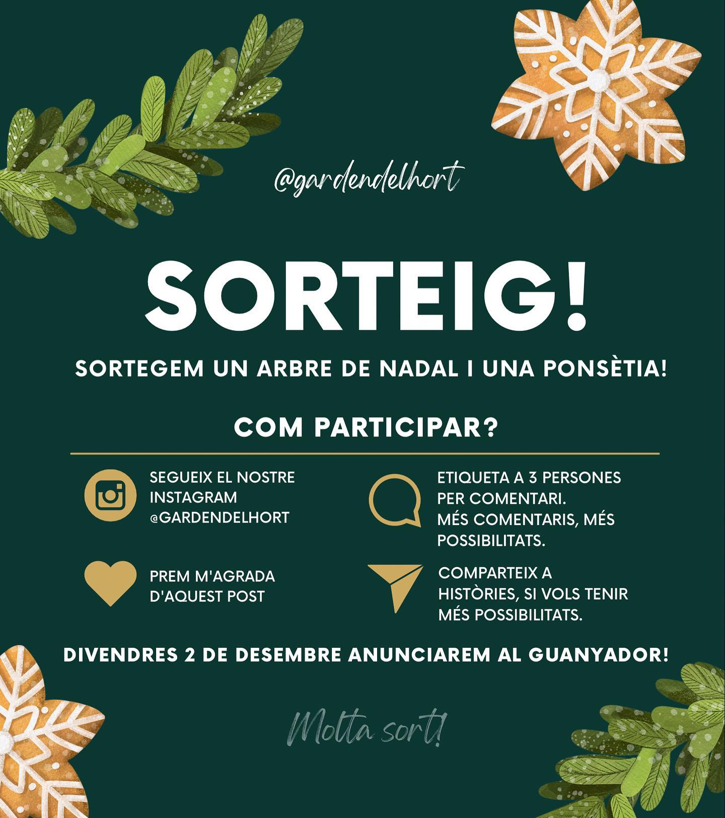 Instagram contest