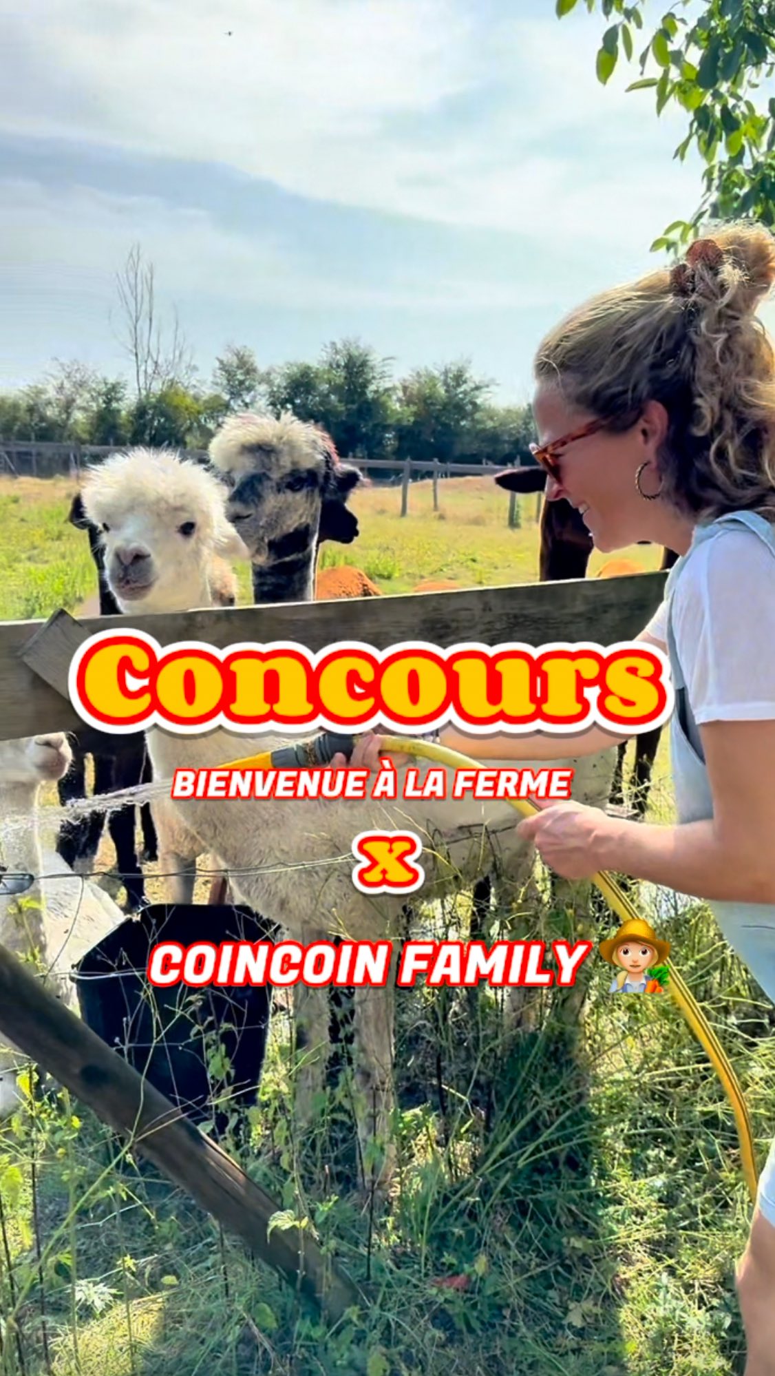 Instagram contest