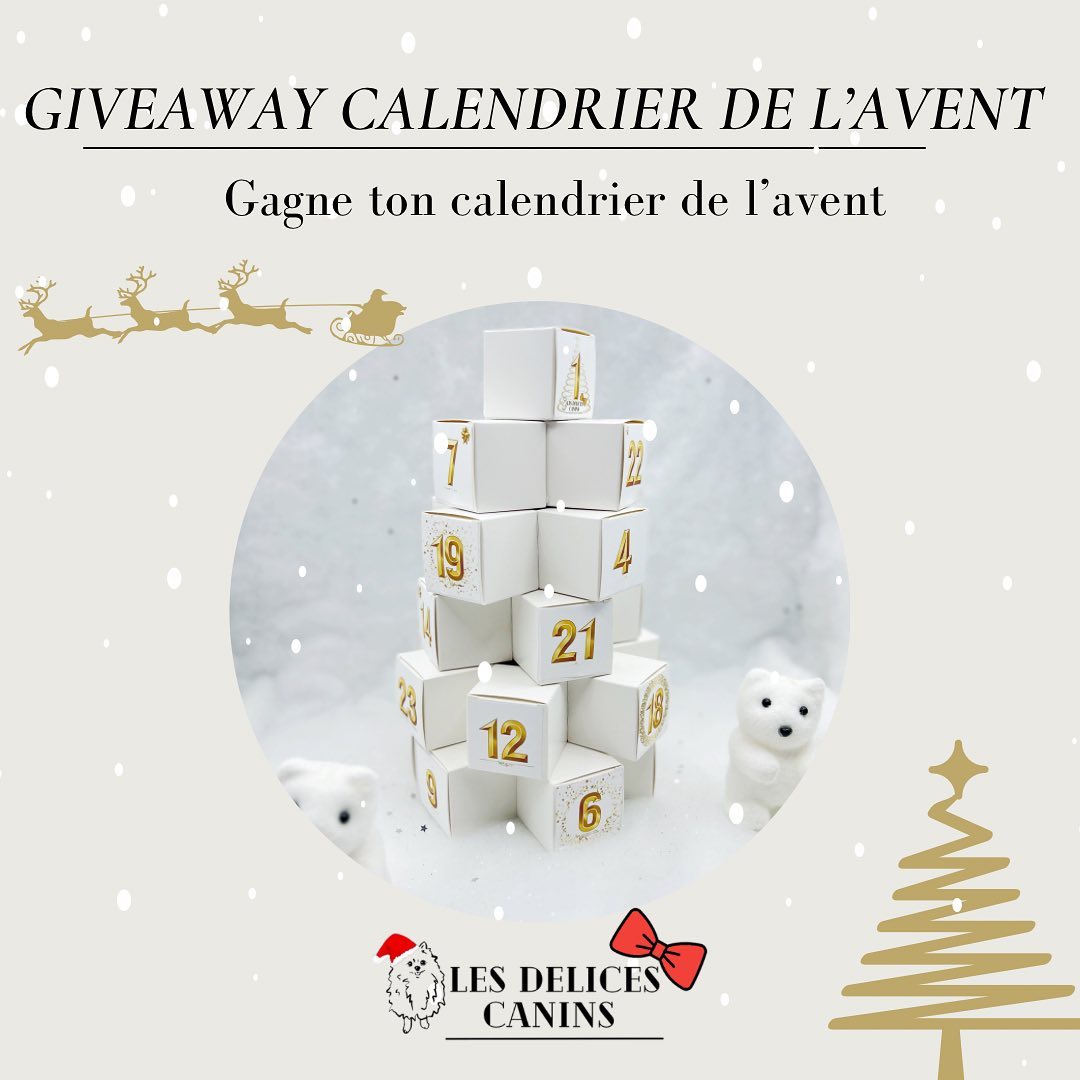 Instagram contest