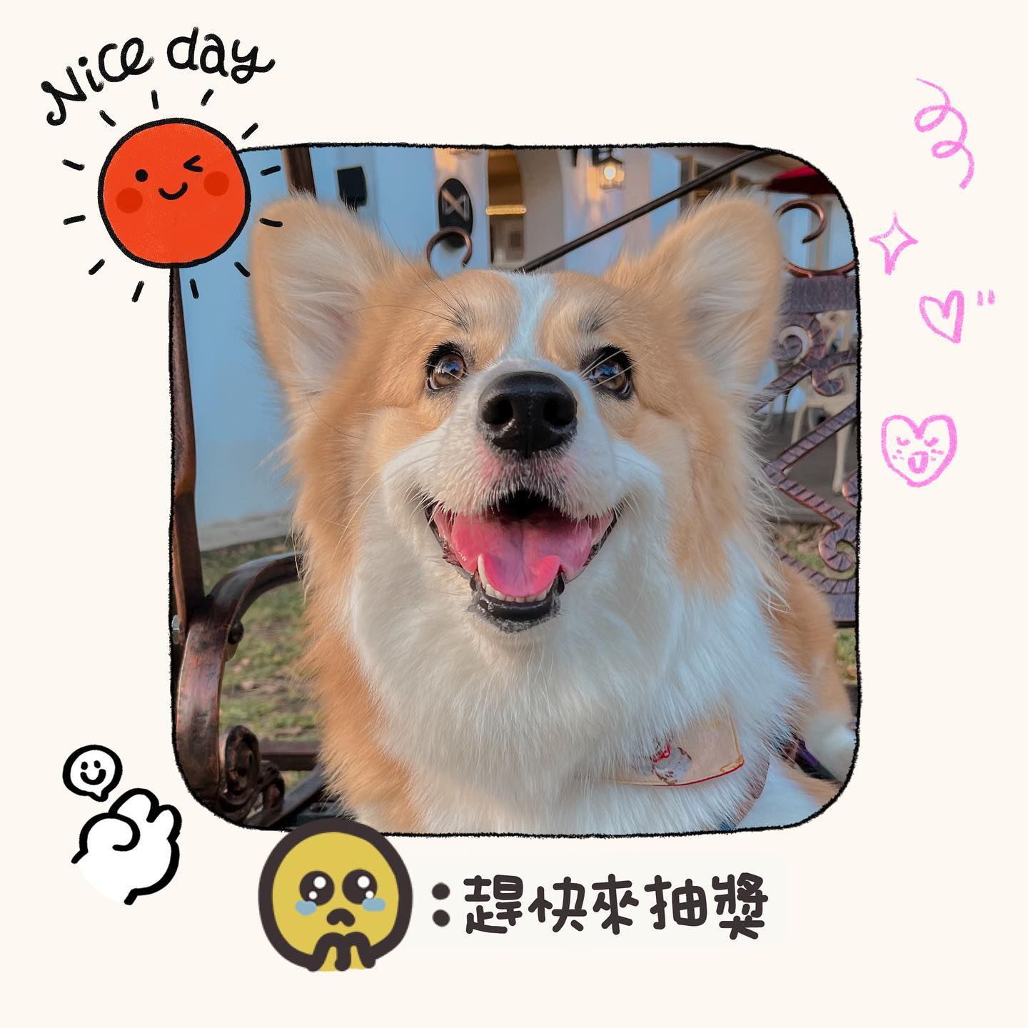 Instagram contest