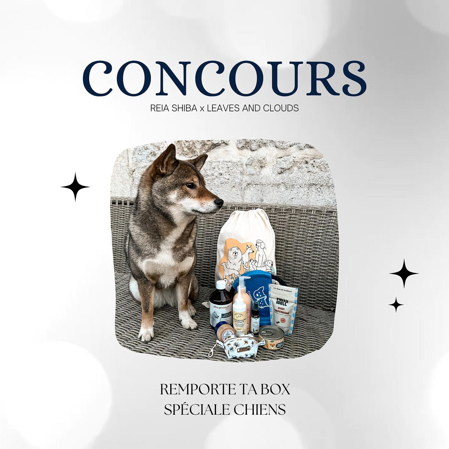 Instagram contest