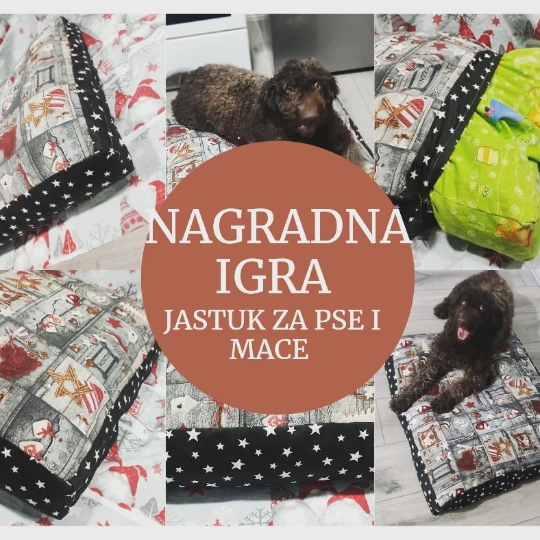 Instagram contest