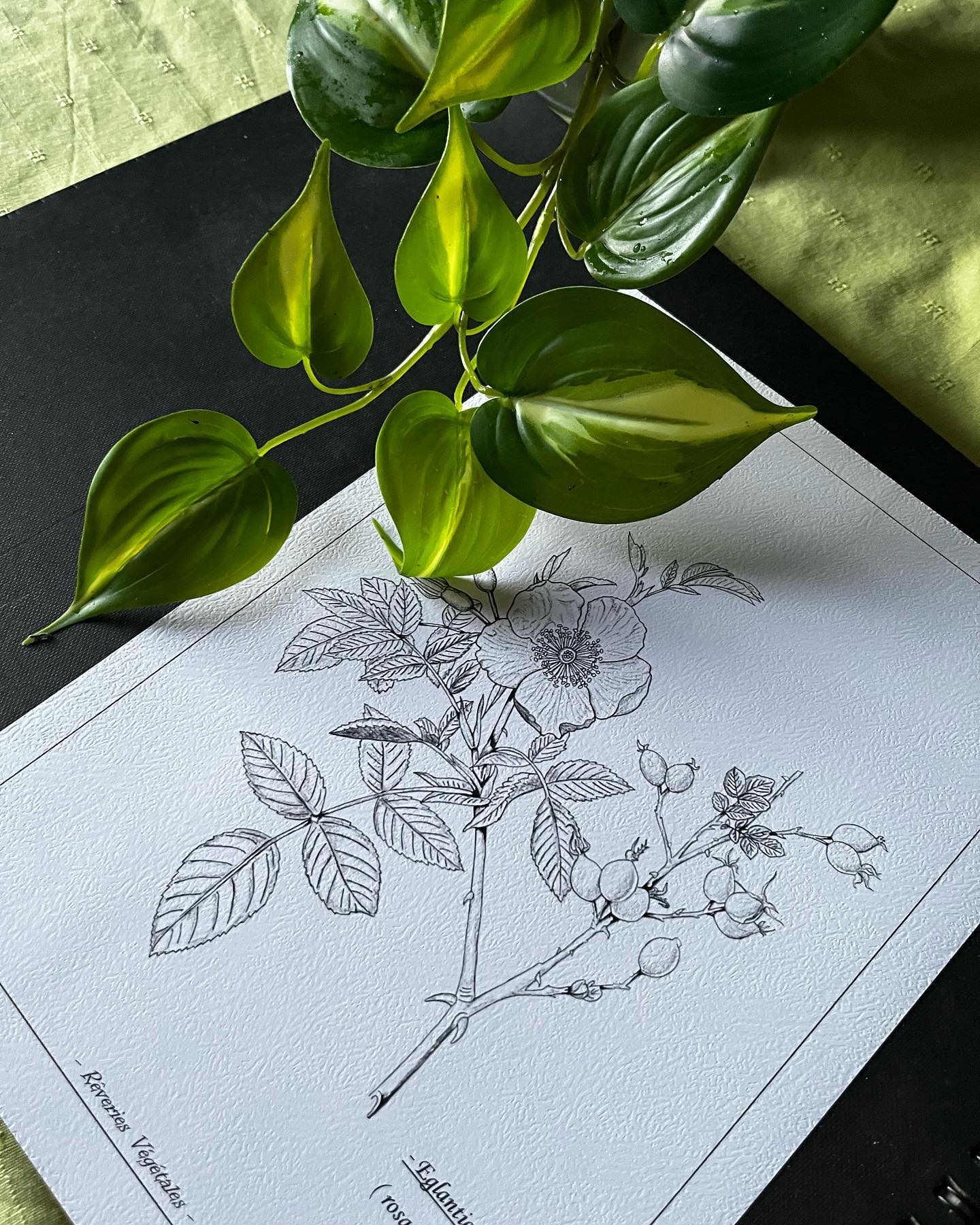Instagram contest