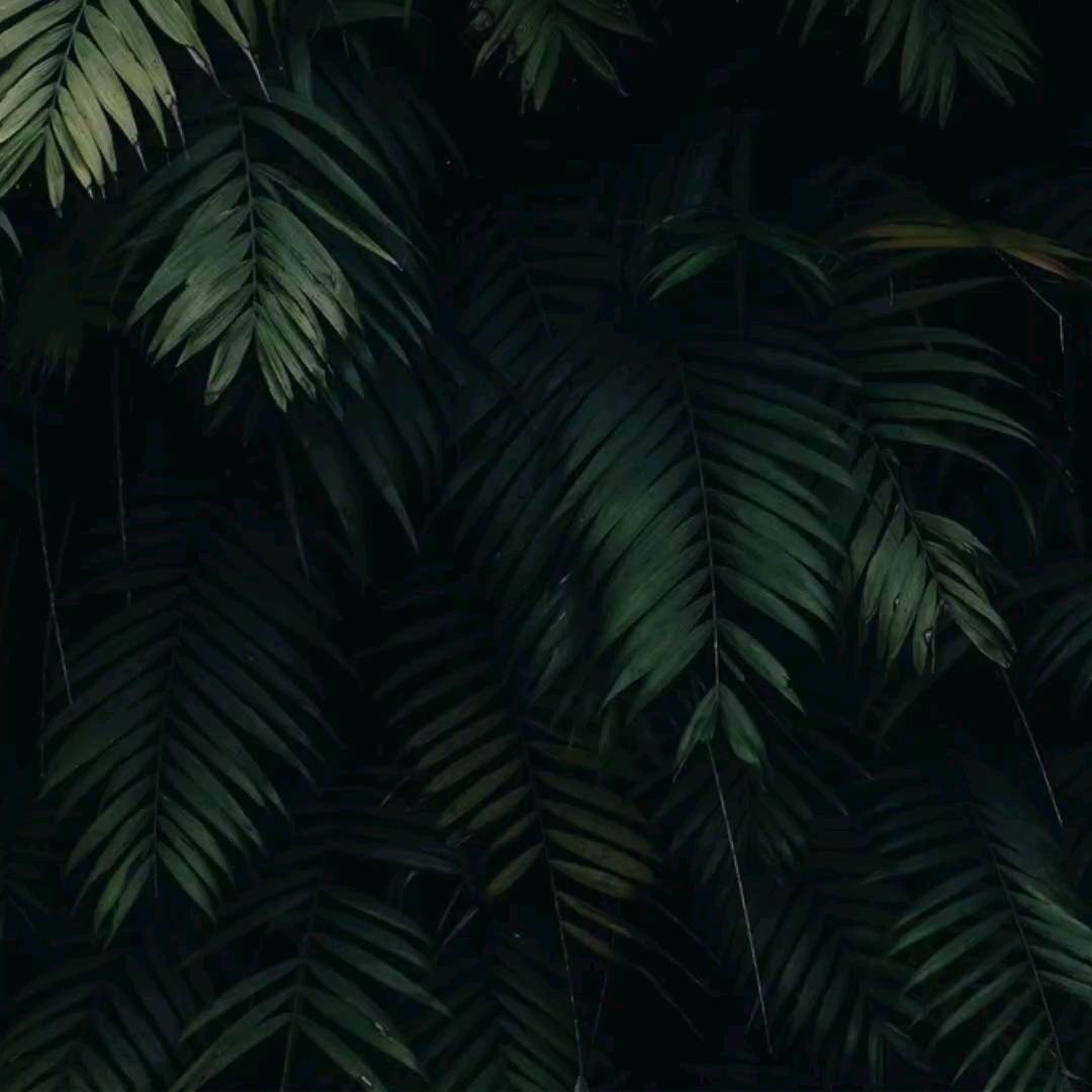 Instagram contest