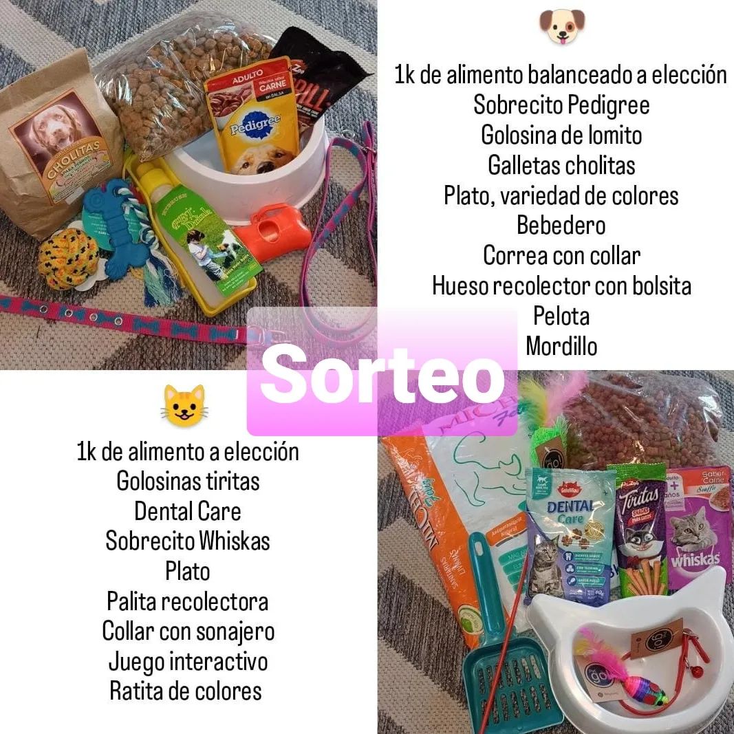 Instagram contest