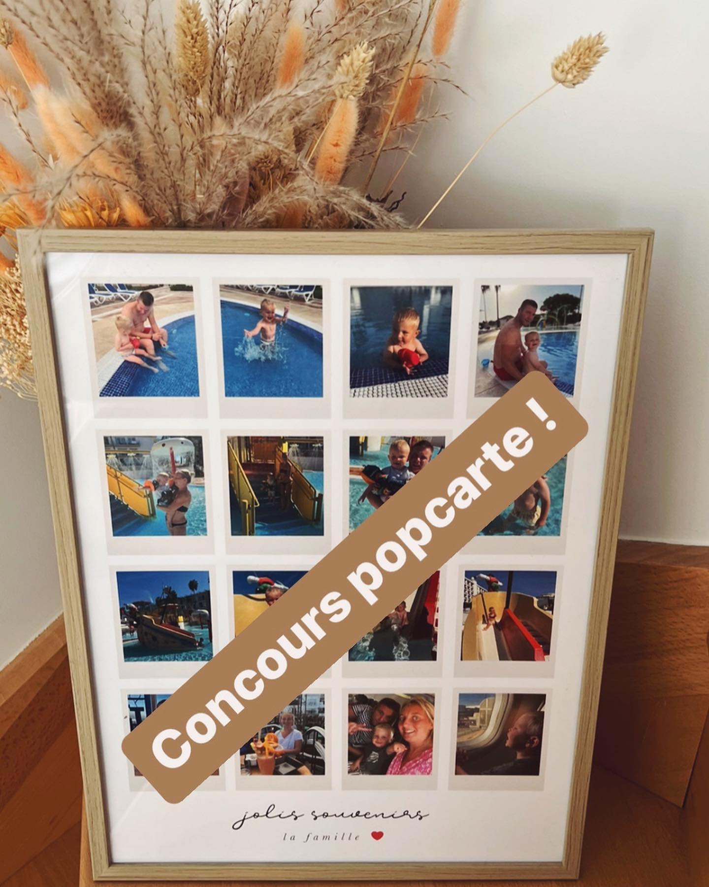 instagram contest