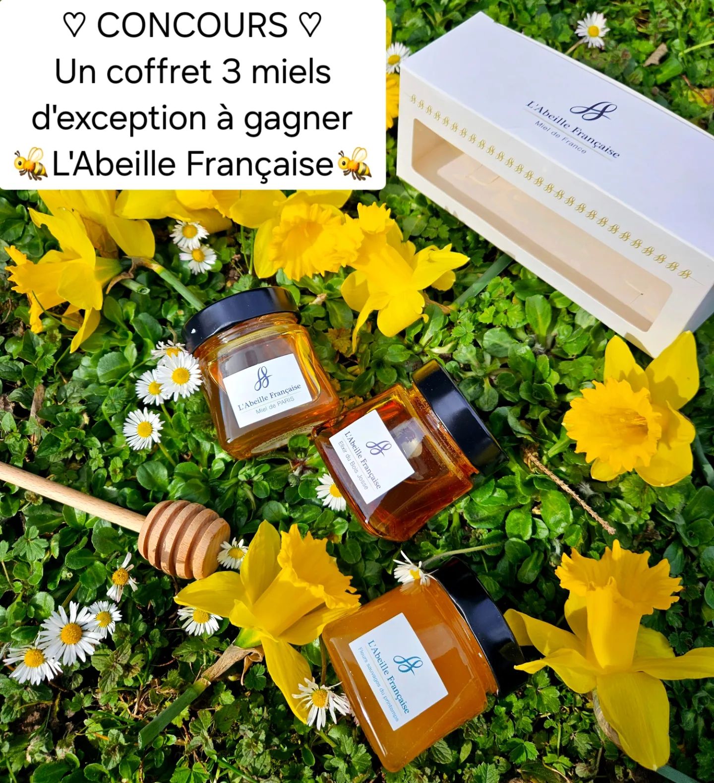 Instagram contest