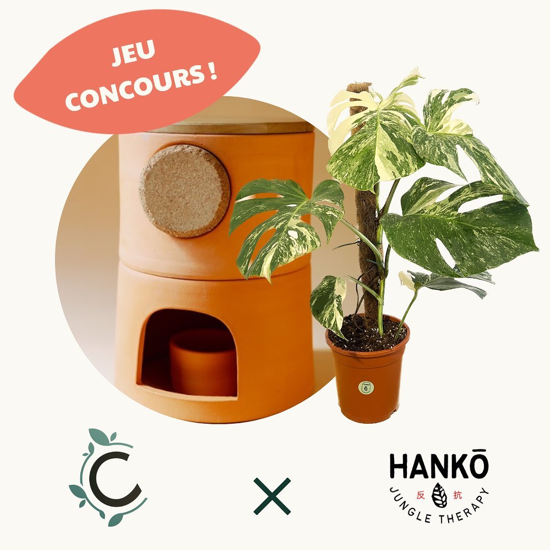 instagram contest