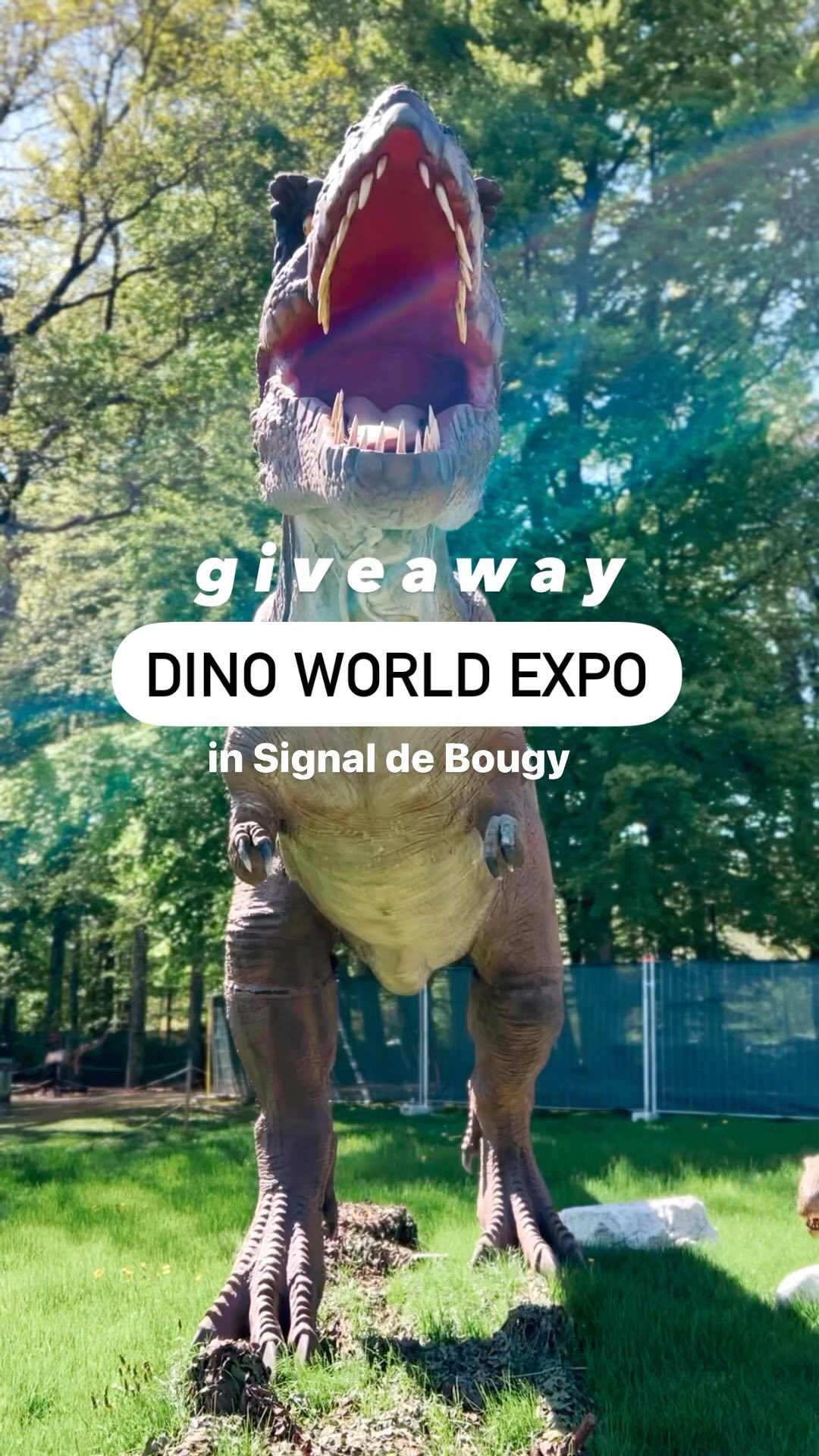 Instagram contest